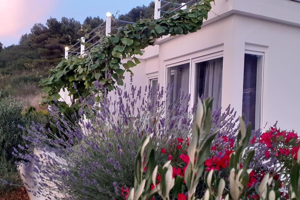 Vis - Luxury Holiday Villa With Swimming Pool Luaran gambar